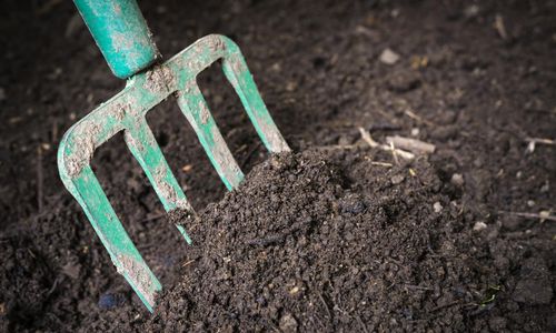 Gotländskt ultimatum om kontroversiell kompost