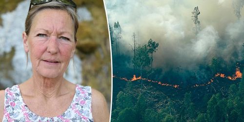Så skyddar hon sin skog mot brand