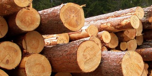 Mer sågtimmer – men mindre massaved