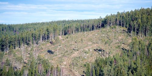 ”Trakthyggesbruk avsteg från naturens eget urval”