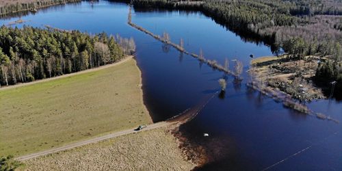 Vildsvinens verk – 70 hektar översvämmade