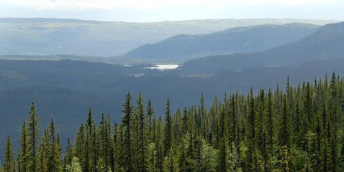 ”Myndigheten kan inte styra andras agerande”