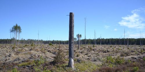 ”Skogsägarna är värda ett bättre öde”