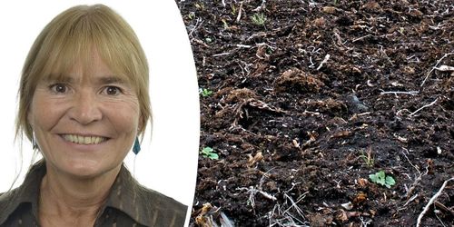 Torv är viktigt för Sverige