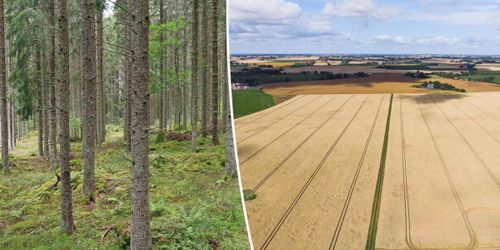 Lista: Dyraste gårdarna till salu just nu