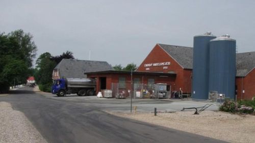 Köper danskt mejeri