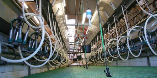 ”LRF jobbar på flera fronter samtidigt”