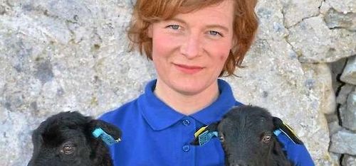 Veterinärerna ska fixa biffen!