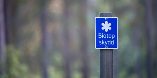 Skötsel behövs i skyddad skog