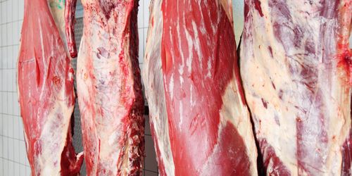 Kött från obedövade djur inte ekologiskt