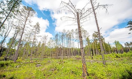 Så ser miljöhänsynen ut