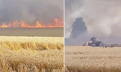 Brandkåren hindrades av åskådare: ”Blir förbannad”