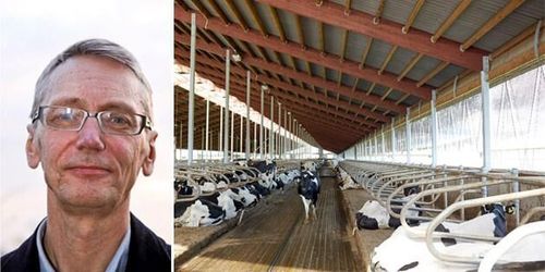 Forskare: Otäck företeelse som måste tas på allvar