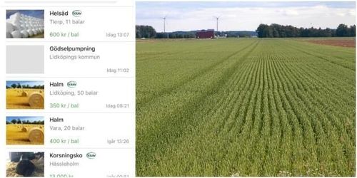 Nu får ekobönder en egen Blocket-app