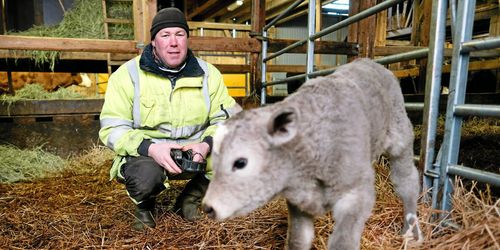 Tomt i böndernas plånböcker efter torkan