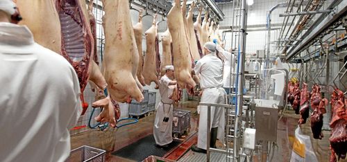 Här är vinnarna och förlorarna bland slakterierna