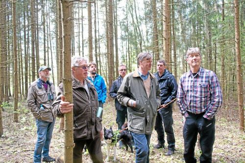 "Bästa investering vi kan göra"