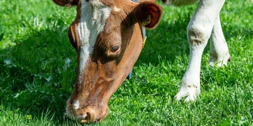 ”ATL förstår inte hur marknaden fungerar”