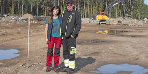 De storsatsar på kycklingar