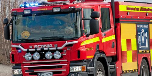 70 kalvar brann inne