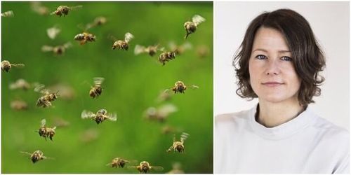 Biologisk mångfald har blivit mer begriplig