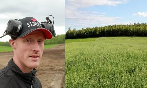 Sänker foderkostnaden med hjälp av uppodling