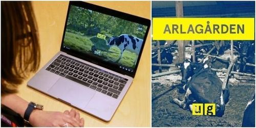 ”Uppdrag granskning” väcker frågor om Arlas och länsstyrelsens roller