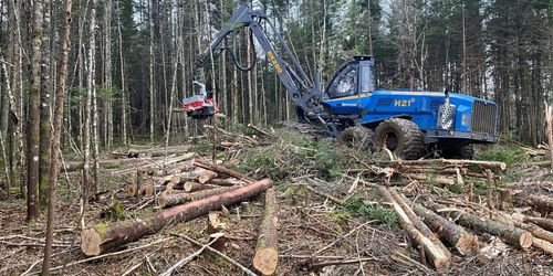 Rottne växlar upp i väster