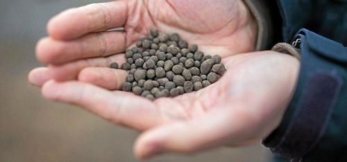 Ny teknik gör det lätt att aska i skogen