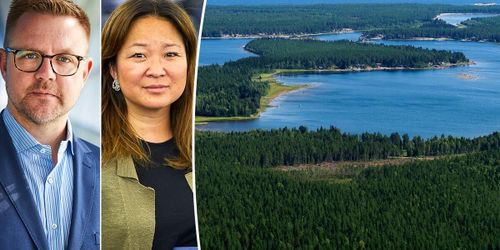 ”Har S gett upp striden för den svenska skogen?”