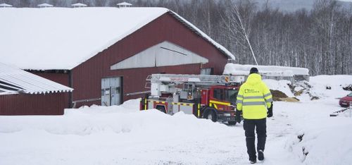 Flera kor döda i nytt takras