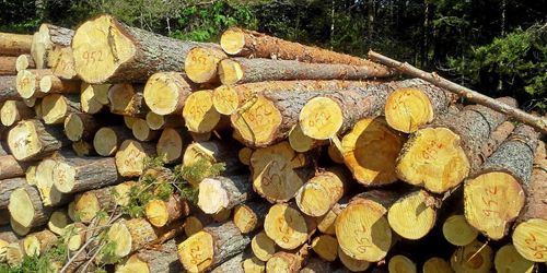 Direktiven för utredningen om äganderätten klara