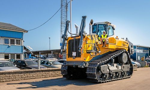 Jättebandschaktare till Sverige
