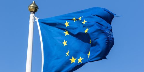 ”Kritiken mot den byråkratiska EU-kolossen växer”