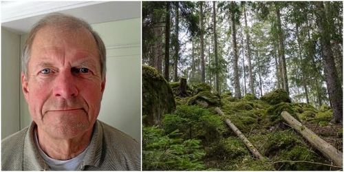 ”Låt skogsägarna bruka skogen på olika sätt”