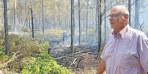 Några gnistor - sen brann skogen