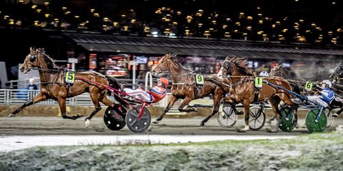 Så ska hästskötarnas arbetsmiljö bli bättre