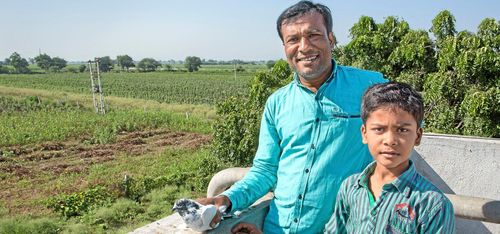 Bomullsbondens stora bekymmer