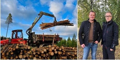 Färre men större entreprenadbolag på sikt