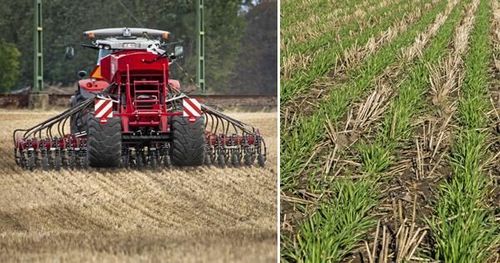 Direktsåmaskinerna som sticker ut