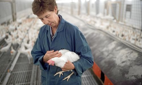 Livet efter smittan: ”Går inte att beskriva”