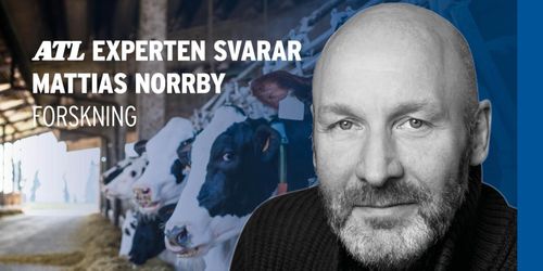 Ny teknik ska spåra livsmedlens ursprung