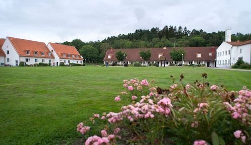 Efter nedläggningen av naturbruksgymnasiet ska Plönninge omvandlas till innovationscentrum för de gröna näringarna.