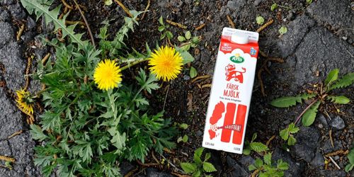 Arlas medlemmar halkar efter i pris