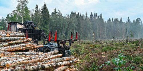 Snart kör Sveaskog uppkopplat