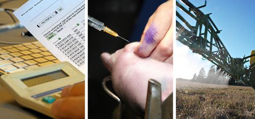 Så påverkas ditt företag av nya reglerna