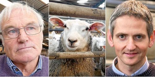 Tålamodet slut på Nordirland: ”Något måste hända”