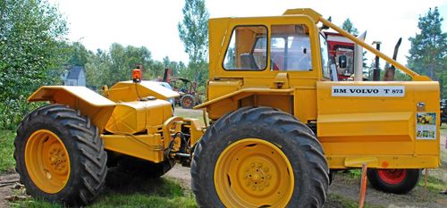 Lantbruks-Lisa stod bortglömd i 30 år