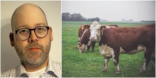 ”Få människor vill äta gräs och sly”