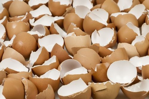 Lokalt motstånd knäckte äggplanerna i Alsen.